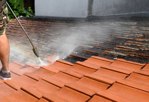 Best Garage Pressure Washing  in Balcones Heights, TX