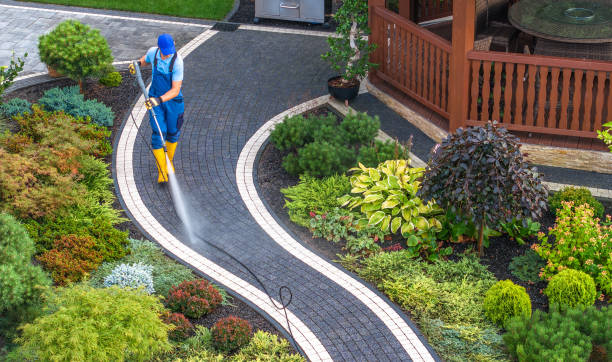 Best Roof Power Washing Services  in Balcones Heights, TX